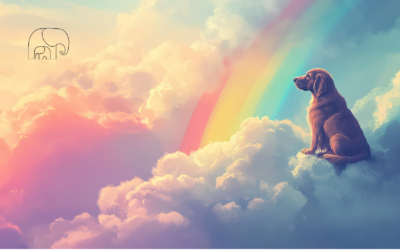 Η προσωπική εμπειρία της απώλειας ενός ζώου